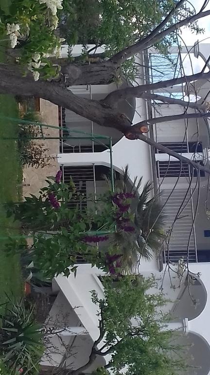 Apartments Pavlovic Ninski Stanovi ภายนอก รูปภาพ